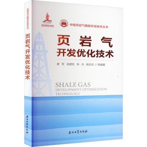 頁(yè)巖氣開發(fā)優(yōu)化技術(shù) 謝軍 等 編 交通/運(yùn)輸專業(yè)科技 新華書店正版圖書