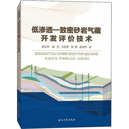 低滲透-致密砂巖氣藏開發(fā)評(píng)價(jià)技術(shù) 程立華 等 著 地球物理學(xué)專業(yè)科技